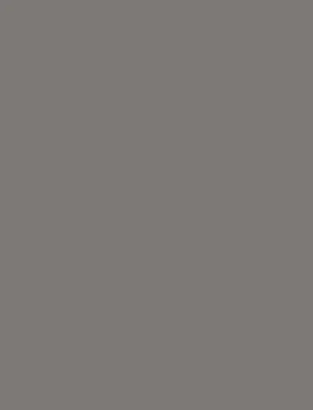 Stone Gray interior film swatch, Bodaq S143