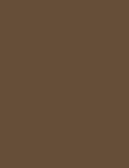 Coffee interior film swatch, Bodaq S145