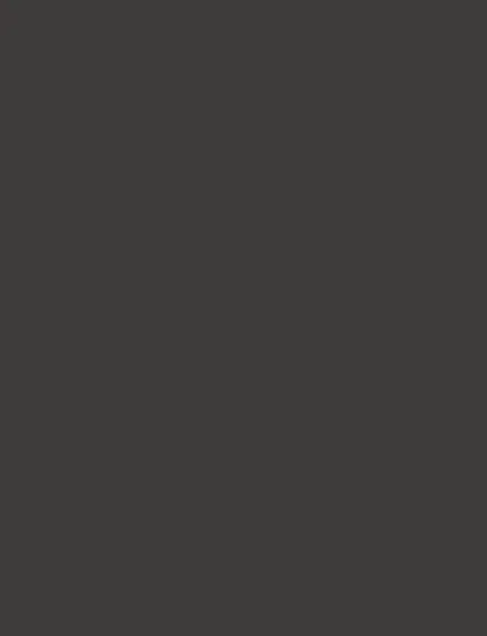 Gray Smoke interior film swatch, Bodaq S149