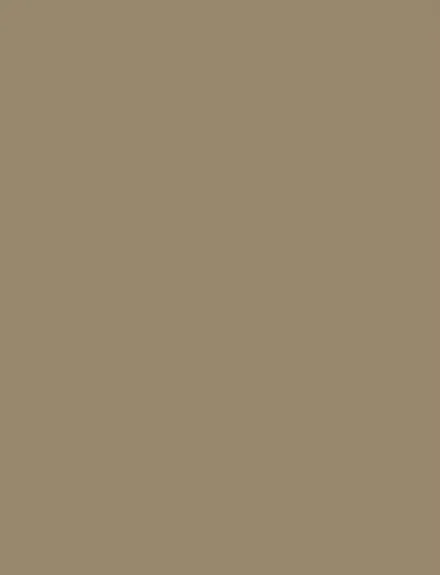 Solid Gray interior film swatch, Bodaq S157