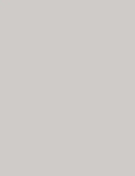 Gainsboro Gray interior film swatch, Bodaq S158