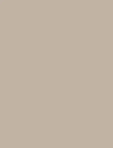 Simply Taupe interior film swatch, Bodaq S181