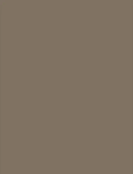 Greige interior film swatch, Bodaq S183