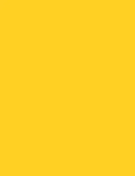 Dandelion Yellow interior film swatch, Bodaq S188