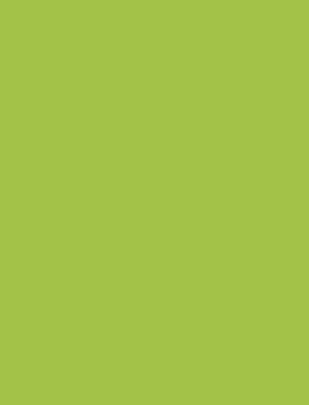 Bright Green interior film swatch, Bodaq S189