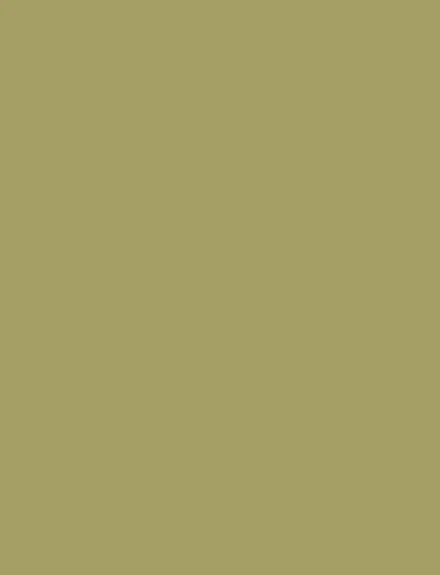 Olive Green interior film swatch, Bodaq S200