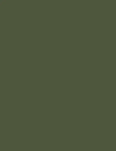 Moss Green interior film swatch, Bodaq S202