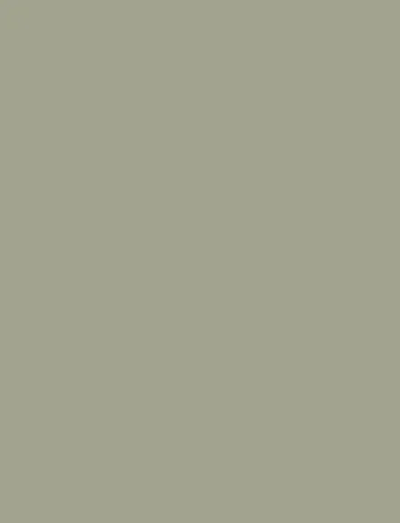Green Earth interior film swatch, Bodaq S212