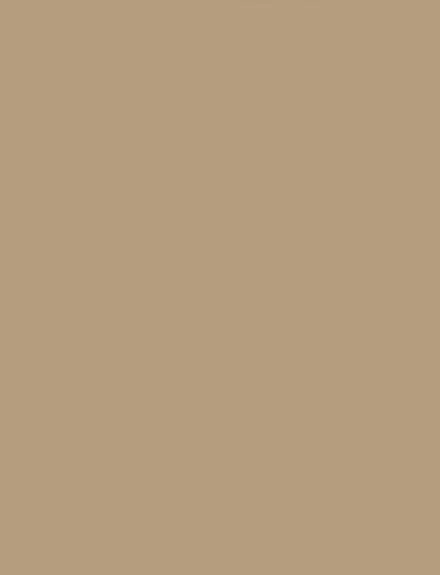 Almond Latte interior film swatch, Bodaq S215