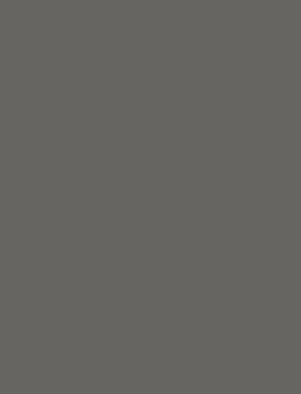 Lava Stone interior film swatch, Bodaq S231