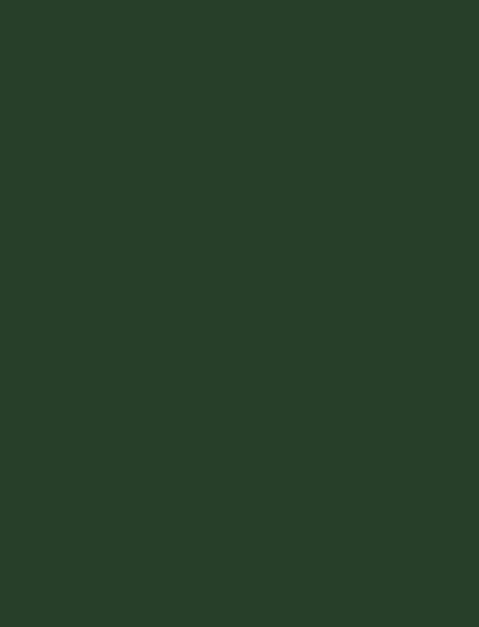 Forest Beauty interior film swatch, Bodaq S233