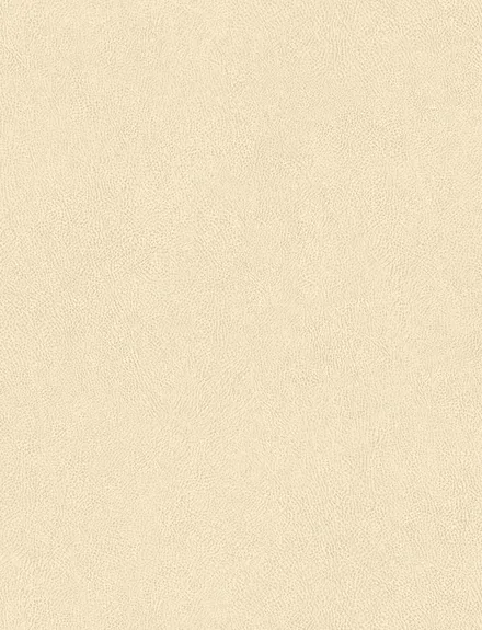 Ecru Leather interior film swatch, Bodaq TNS05