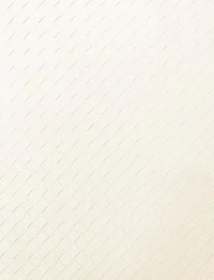Deep Emboss Leather interior film swatch, Bodaq TNS10