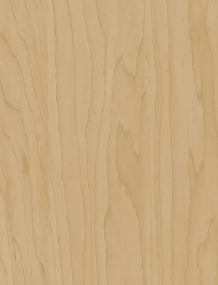 Maple Light interior film swatch, Bodaq W200