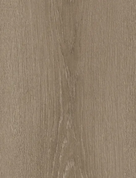 Modern Oak interior film swatch, Bodaq LW107