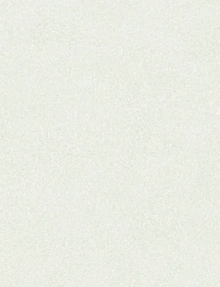 Pure White interior film swatch, Bodaq BLC05