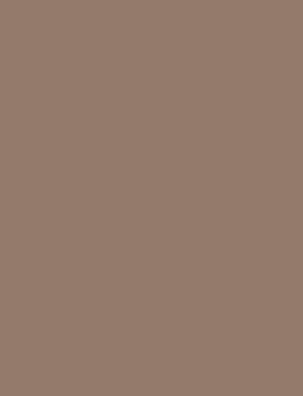 Double Latte interior film swatch, Bodaq S247