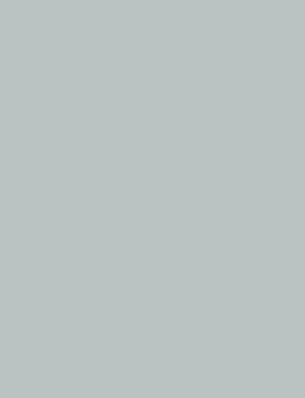 Grey Stone interior film swatch, Bodaq S258