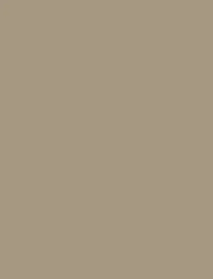 Gray interior film swatch, Bodaq SMT14