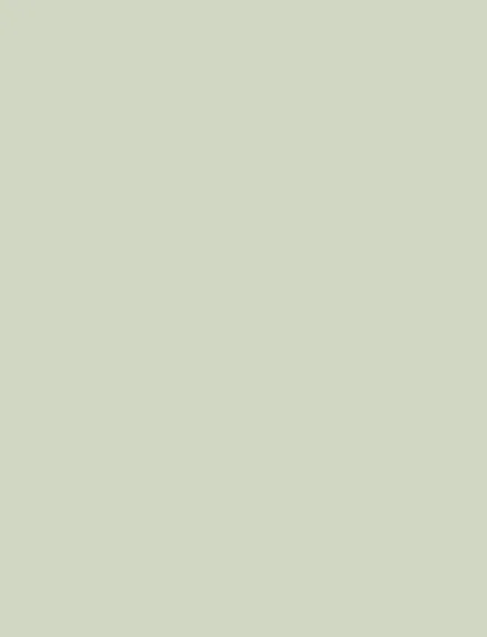 Aloe interior film swatch, Bodaq SMT20