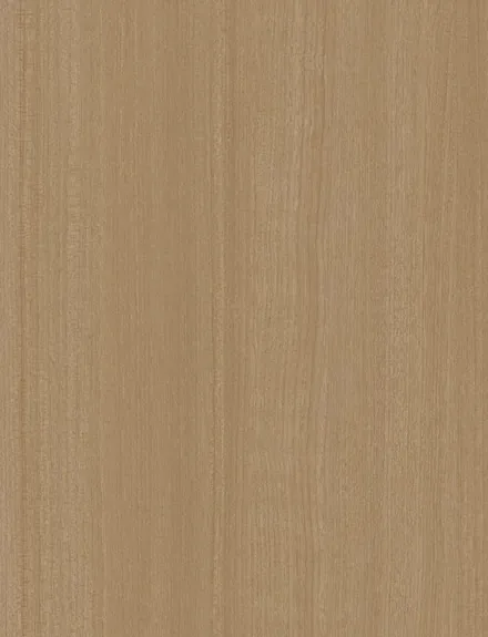 Citrus Oak interior film swatch, Bodaq W952