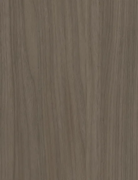 Chestnut Oak interior film swatch, Bodaq W954