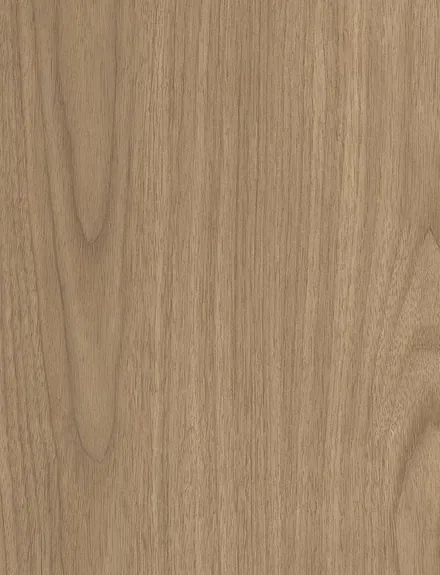 Nordic Pine interior film swatch, Bodaq ZX149