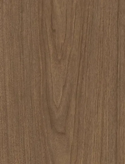 Ashen Walnut interior film swatch, Bodaq ZX158
